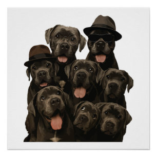 Poster Cane Corso