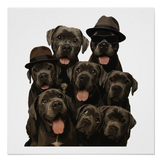 Poster Cane Corso (Devant)