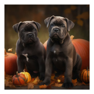 Poster Cane Corso Chiot Automne Citrouille de plaisir