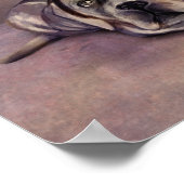 Poster Cane Corso - Chiot Mastiff italien (Coin)