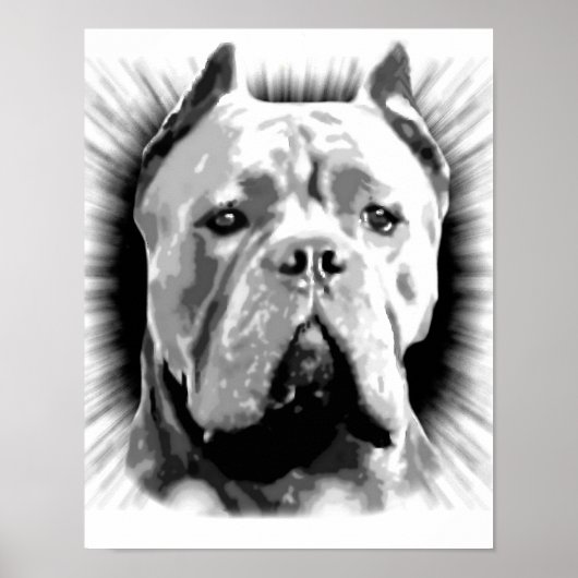 Poster Cane Corso Dog (Devant)