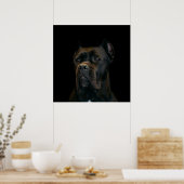 Poster Cane Corso - Mastiff italien (Cuisine)