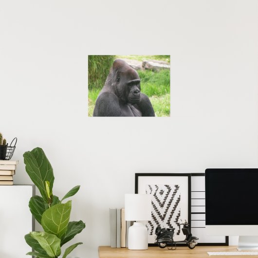 Poster canevas silverback 001 (Bureau à domicile)