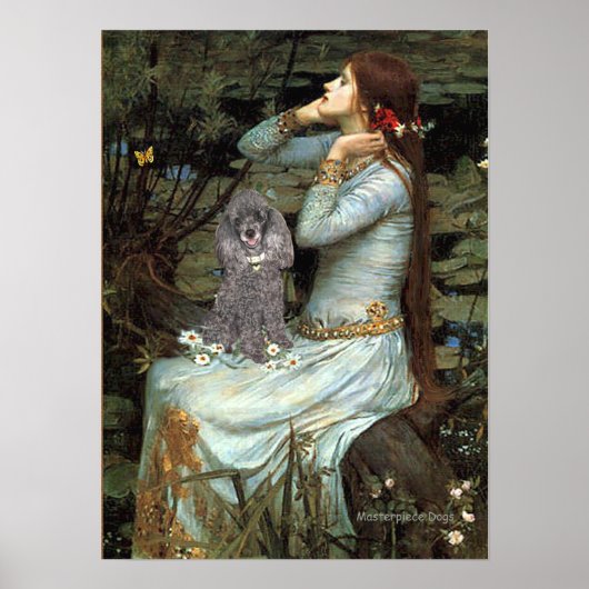 Poster Caniche (Argent 8) - Ophélie assise (Devant)