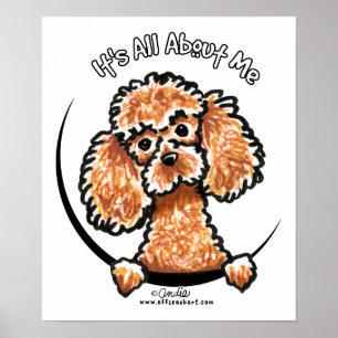 Poster Caniche miniature IAAM de jouet d'abricot