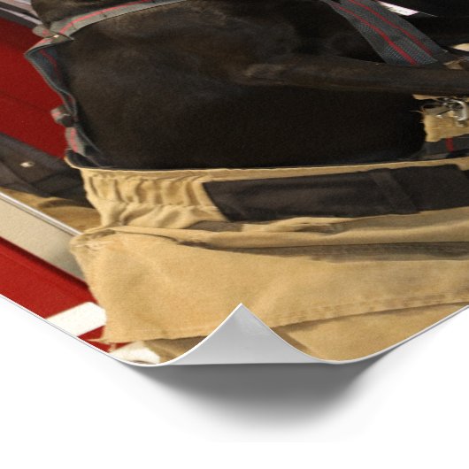 Poster Canine Fire Department (Coin)