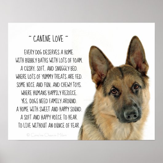 Poster Canine Love (Devant)