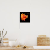 Poster Canna (Cuisine)