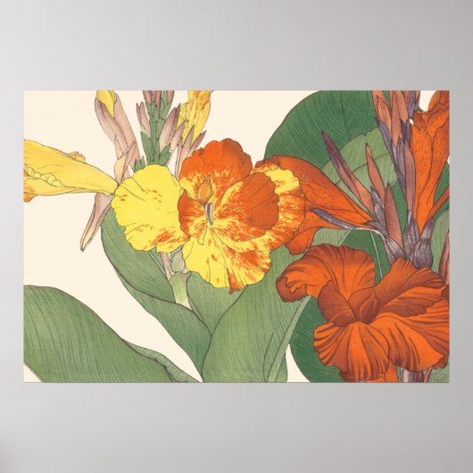 Poster Canna Lily (Devant)
