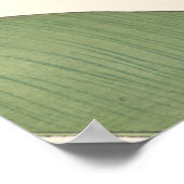 Poster Canna Lily (Coin)