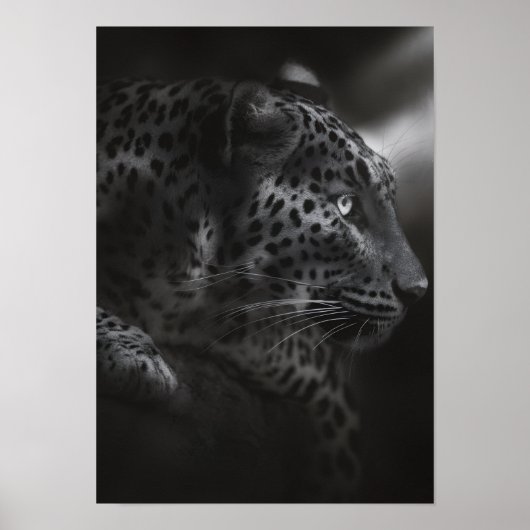 Poster Canne noire et blanche (Devant)