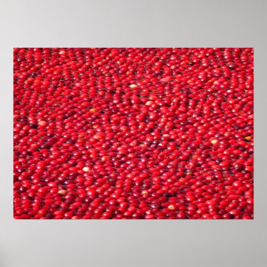 Poster Canneberges Férié Rouge (Devant)