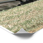 Poster Cannon de guerre civile (Coin)