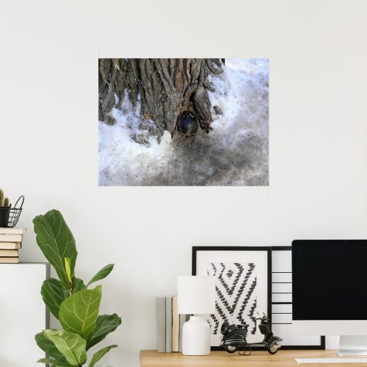 Poster Cannonball Tree, Vieux-Québec Ville, Québec, Canad (Bureau à domicile)