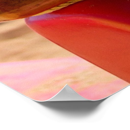 Poster Canoë (Coin)