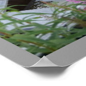 Poster Canoë-cargo cri - Chisasibi Québec (Coin)