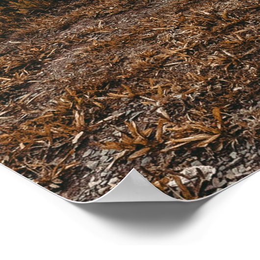 Poster Canoë d'automne rustique // Lit Grey (Coin)