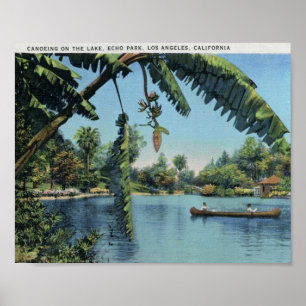 Poster Canoë-kayak, parc d'écho, cru de Los Angeles