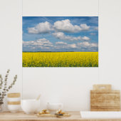 Poster Canola Field & Nuages (Cuisine)