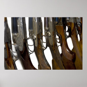 Poster canons de chasse