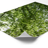 Poster Canopée (Coin)