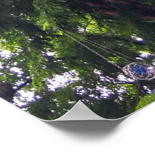 Poster Canopée Arbre Suspendu Orbes Décoratives Nature Ur (Coin)