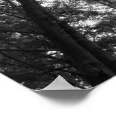 Poster Canopée de bois 01 BW (Coin)