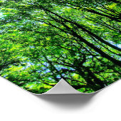 Poster Canopée des arbres (Coin)