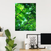 Poster Canopée verte, Branches feuillues avec ciel bleu (Bureau à domicile)