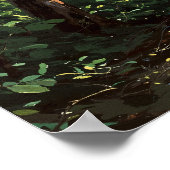 Poster Canopées lumineuses - Art de style illustration pe (Coin)