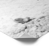 Poster Canot de guerre des Îles Salomon, 1922 (Coin)