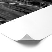 Poster Canots (Coin)