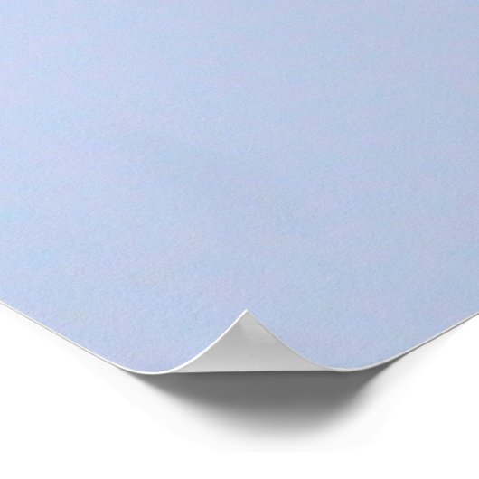 Poster Canvas Back Duck (Coin)