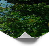 Poster Canvas de Niagra Falls (Coin)