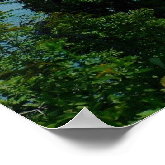 Poster Canvas de Niagra Falls (Coin)