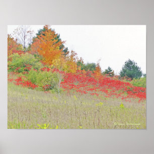 POSTER/CANVAS GLANS/FOTO /"TAPIJT VAN ROOD " POSTER