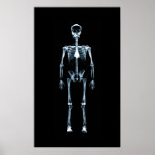 Poster Canvas Imprimer X-Ray Vision Bleu Squelette simple (Devant)