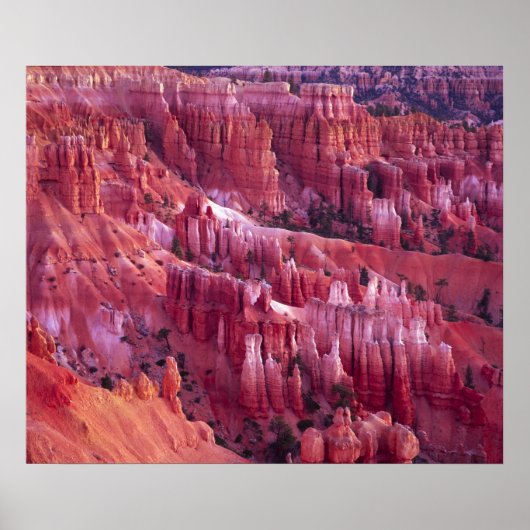 Poster Canyon Bryce, Utah, États-Unis (Devant)