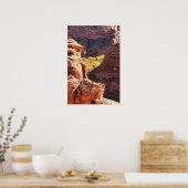 Poster Canyon de Chelly (Cuisine)