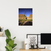 Poster Canyon de père Noël Elena (Bureau à domicile)
