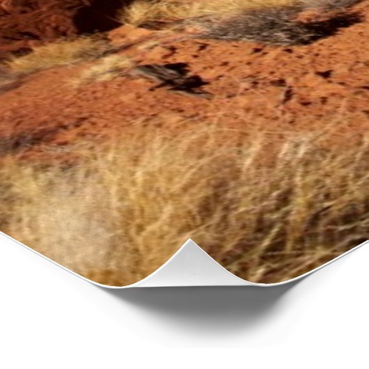 Poster Canyon de Red Rock (Coin)