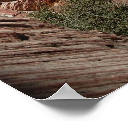 Poster Canyon de Red Rock (Coin)