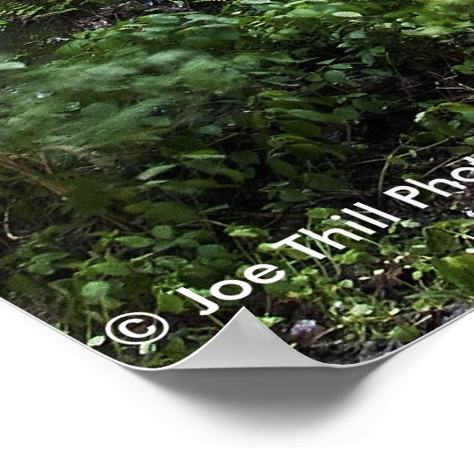 Poster Canyon de Tonti - Parc d'état de Rock Started (Coin)