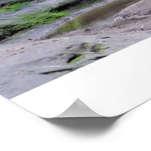 Poster Canyon français (Coin)