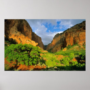 Poster Canyon Kolob à Zion Canyon dans le parc national d