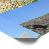 Poster Canyon Lake Far (Coin)