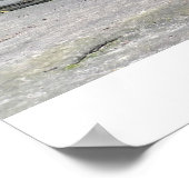 Poster Canyon LaSalle (Coin)