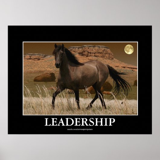 Poster CANYON MUSTANG Cheval Conservation Art Imprimer (Devant)