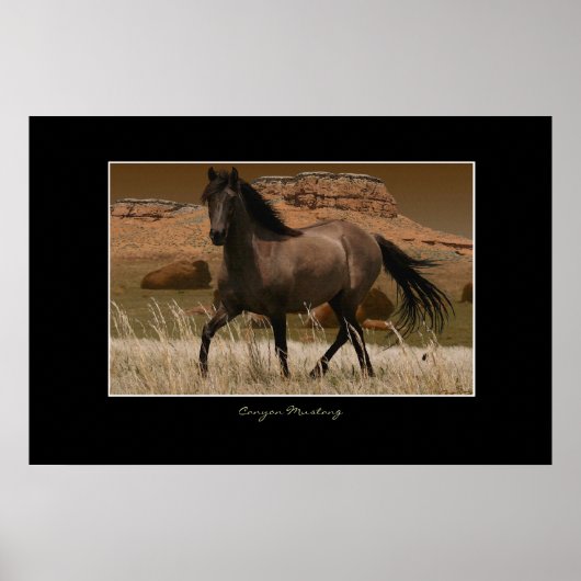 Poster CANYON MUSTANG Horse Conservation Art Print (Devant)