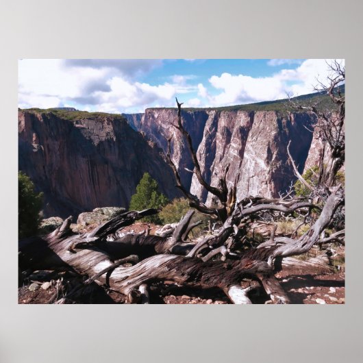 Poster Canyon noir de la Gunnison (Devant)